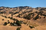 Threat of California’s Native Tree Loss Like Blue Oaks and Western Joshua Trees Is Greater Than Current Estimates, University of California, Santa Cruz Study Finds