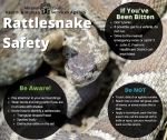 Mariposa County Health & Human Services Offer Advice on How to Stay Safe During Rattlesnake Season