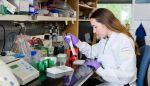 UC Berkeley Researchers Say a Promising New Weight Loss and Diabetes Treatment Helps Burn Fat While Keeping Muscle