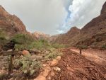 National Park Service Announces Public Assistance Requested to Account for Individuals Following Grand Canyon Flash Flood