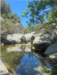 Sierra Foothill Conservancy Announces 1,063 Acres of Newly Protected Land Through the Ekarnas Hemman Homestead of the Oaks Conservation Easement in Madera County