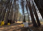 Yosemite National Park Dome Fire Wednesday Morning, September 30, Update: 5,585 Acres with 39% Containment; Glacier Point Road is Closed, Yosemite National Park is Open and Operating Normally, An Abandoned Campfire Caused This Fire