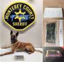 Monterey County Sheriff K9 Rocket Locates Over 2 Pounds of Fentanyl During Traffic Stop