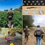 Two Suspects Arrested for Illegal Marijuana Cultivation Operation Near Pacheco Creek in San Benito County