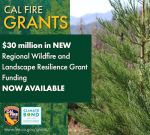 CAL FIRE Announces New $30 Million Regional Wildfire and Landscape Resilience Grant Program