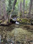 With California Water Board Funding, Tribe to Regain Nearly 40,000 Acres of Ancestral Lands in Klamath River Basin