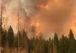 Prolonged Exposure To Wildfire Smoke Increases Cardiovascular Health Risks, Yale Researchers Report