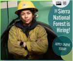 Sierra National Forest Announces Permanent Position Opportunities