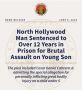 North Hollywood Man Sentenced to Over 12 Years in Prison for Brutal Assault on 14-Month-Old Son
