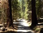NPS Officials Announce Search for Los Angeles Woman in Sequoia National Park Transitions to Limited Continuous Mode as River Conditions Remain Too Dangerous To Enter