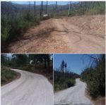 Sierra National Forest Announces Crews Have Completed Major Rebuilds of Roads in the Dinkey Mill Area—Restoring Safe Access to Dinkey Creek Campground, Trailheads, and Popular Recreation Sites