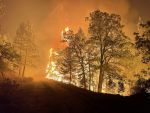 Nevada U.S. Senators Catherine Cortez Masto, Jacky Rosen Say Commodity Futures Trading Commission (CFTC) Must Rein in Wildfire Bets on Prediction Markets