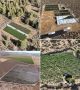 Over 151,000 Marijuana Plants Found on Illegal Cultivation Sites in Lassen County Bust