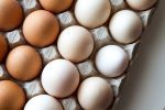 California U.S. Senator Adam Schiff Leads 30+ Democrat Senate Colleagues in Effort to Protect California’s Proposition 12, the Voter-Approved Cage-Free Laws as the Trump Administration Sees to Undermine the Proposition