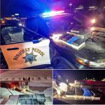 Routine Traffic Stop on Highway 99 in Merced County Ended with Major Narcotics Seizure and Arrest