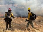 ProPublica: U.S. Forest Service Stops Issuing Firefighter Pants That Contain PFAS, Following ProPublica’s Reporting