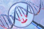 NIH-Funded Breakthrough Shrinks CRISPR for Precision Delivery in the Body