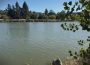 Santa Clara County Sheriff’s Dive Team Recovers Body Following Incident at Hellyer County Park